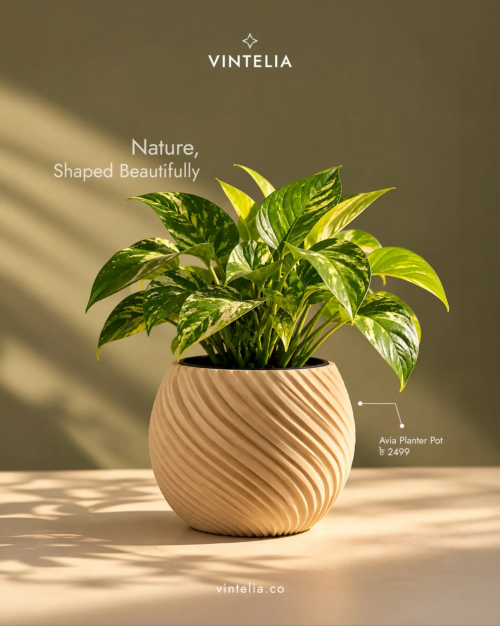 Avia Planter Pot image 2